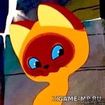 76407564