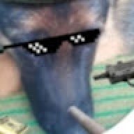 stsw1d