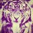 Frey_jack