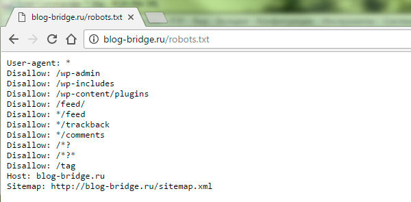 primer-robots-txt.jpg